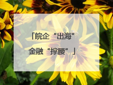 皖企“出海” 金融“撑腰”