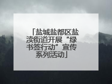 盐城盐都区盐渎街道开展“绿书签行动”宣传系列活动