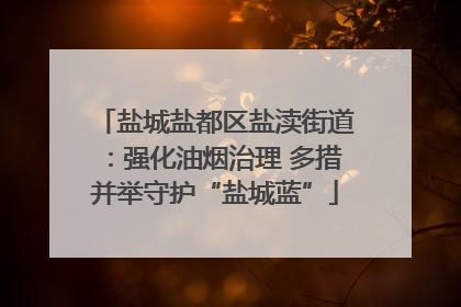 盐城盐都区盐渎街道：强化油烟治理 多措并举守护“盐城蓝”