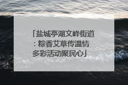 盐城亭湖文峰街道：粽香艾草传温情 多彩活动聚民心