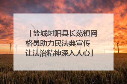 盐城射阳县长荡镇网格员助力民法典宣传 让法治精神深入人心