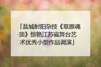 盐城射阳杂技《草原魂·顶》惊艳江苏省舞台艺术优秀小型作品调演