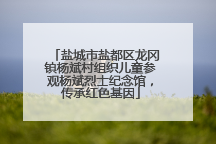 盐城市盐都区龙冈镇杨斌村组织儿童参观杨斌烈士纪念馆，传承红色基因