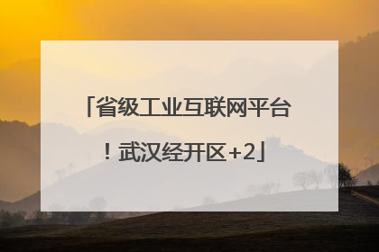省级工业互联网平台！武汉经开区+2