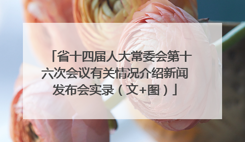 省十四届人大常委会第十六次会议有关情况介绍新闻发布会实录（文+图）