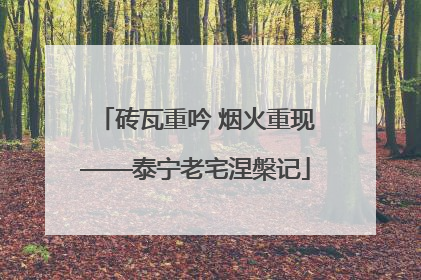 砖瓦重吟 烟火重现——泰宁老宅涅槃记