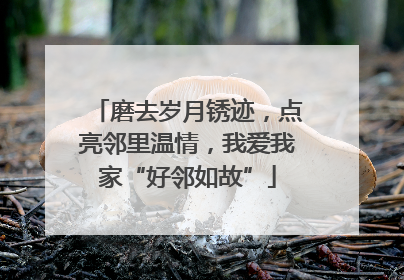 磨去岁月锈迹，点亮邻里温情，我爱我家“好邻如故”