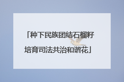种下民族团结石榴籽 培育司法共治和谐花