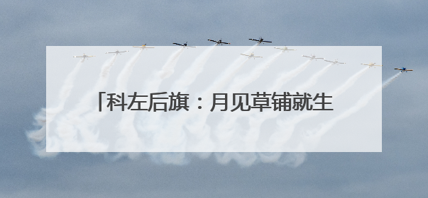 科左后旗：月见草铺就生态致富“可复制”新路