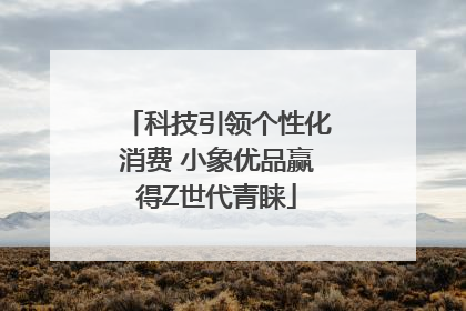 科技引领个性化消费 小象优品赢得Z世代青睐