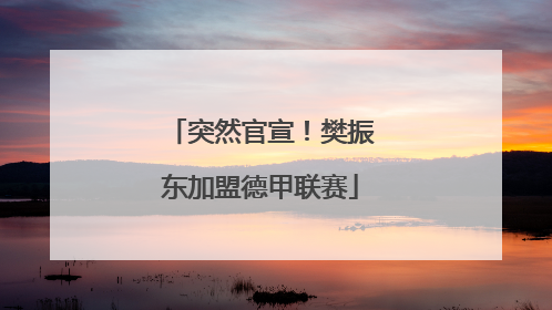突然官宣！樊振东加盟德甲联赛