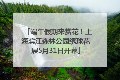 端午假期来赏花！上海滨江森林公园绣球花展5月31日开幕