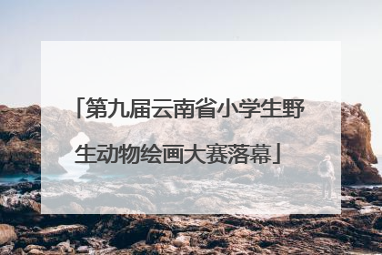 第九届云南省小学生野生动物绘画大赛落幕