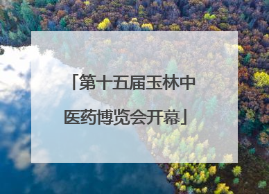 第十五届玉林中医药博览会开幕