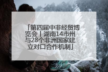 第四届中非经贸博览会丨湖南14市州与28个非洲国家建立对口合作机制