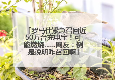 罗马仕紧急召回近50万台充电宝！可能燃烧……网友：倒是说明咋召回啊