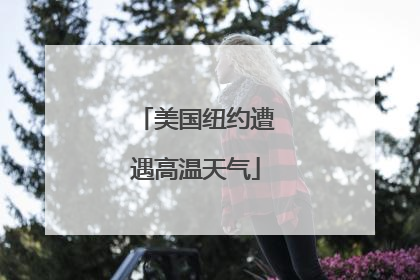 美国纽约遭遇高温天气