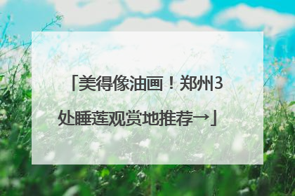 美得像油画！郑州3处睡莲观赏地推荐→