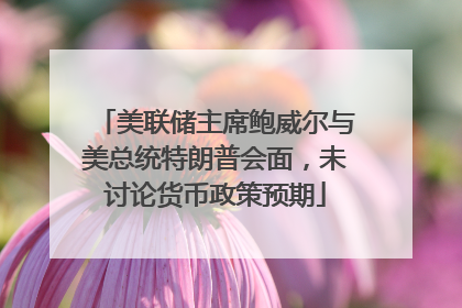 美联储主席鲍威尔与美总统特朗普会面，未讨论货币政策预期