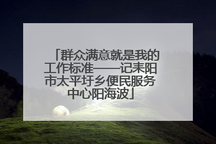 群众满意就是我的工作标准——记耒阳市太平圩乡便民服务中心阳海波