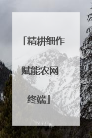精耕细作 赋能农网终端