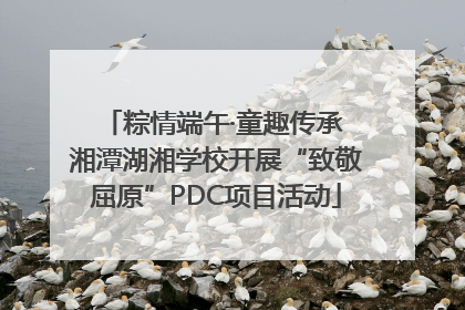 粽情端午·童趣传承 湘潭湖湘学校开展“致敬屈原”PDC项目活动