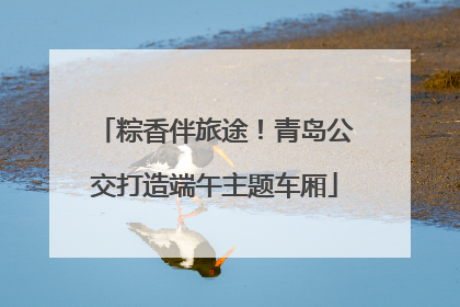 粽香伴旅途！青岛公交打造端午主题车厢