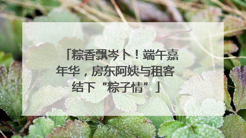 粽香飘岑卜!端午嘉年华,房东阿姨与租客结下“粽子情”