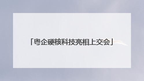 粤企硬核科技亮相上交会
