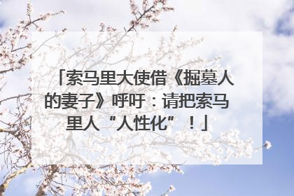 索马里大使借《掘墓人的妻子》呼吁：请把索马里人“人性化”！