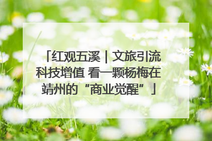 红观五溪｜文旅引流 科技增值 看一颗杨梅在靖州的“商业觉醒”