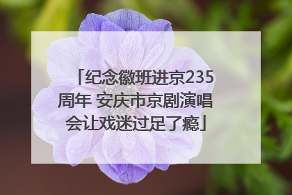 纪念徽班进京235周年 安庆市京剧演唱会让戏迷过足了瘾