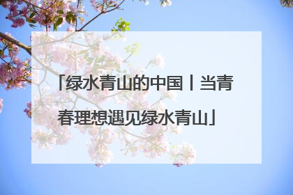 绿水青山的中国丨当青春理想遇见绿水青山