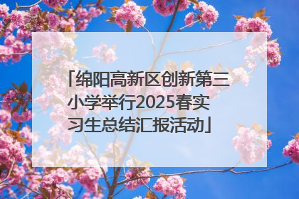 绵阳高新区创新第三小学举行2025春实习生总结汇报活动