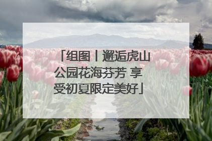 组图丨邂逅虎山公园花海芬芳 享受初夏限定美好