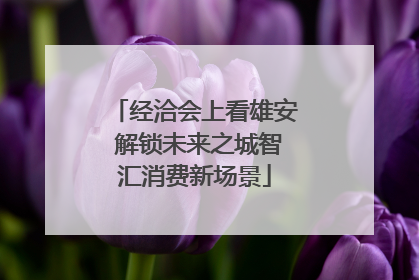 经洽会上看雄安 解锁未来之城智汇消费新场景