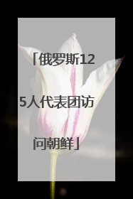 俄罗斯125人代表团访问朝鲜