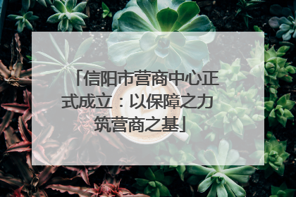 信阳市营商中心正式成立：以保障之力 筑营商之基