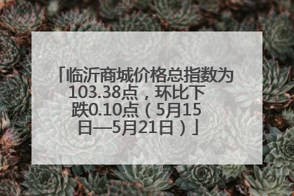 临沂商城价格总指数为103.38点，环比下跌0.10点（5月15日—5月21日）