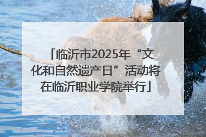 临沂市2025年“文化和自然遗产日”活动将在临沂职业学院举行