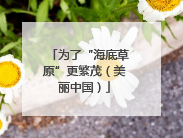 为了“海底草原”更繁茂（美丽中国）