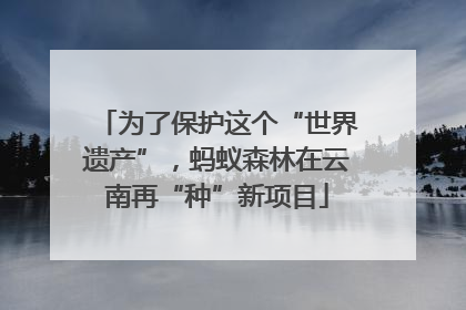 为了保护这个“世界遗产”，蚂蚁森林在云南再“种”新项目
