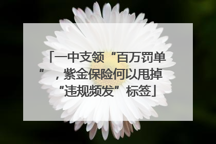 一中支领“百万罚单”，紫金保险何以甩掉“违规频发”标签