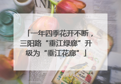一年四季花开不断，三阳路“垂江绿廊”升级为“垂江花廊”