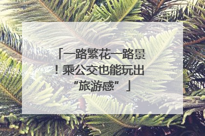 一路繁花一路景！乘公交也能玩出“旅游感”