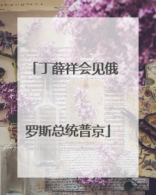 丁薛祥会见俄罗斯总统普京