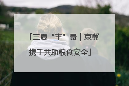 三夏“丰”景｜京冀携手共助粮食安全