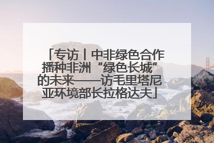 专访丨中非绿色合作播种非洲“绿色长城”的未来——访毛里塔尼亚环境部长拉格达夫