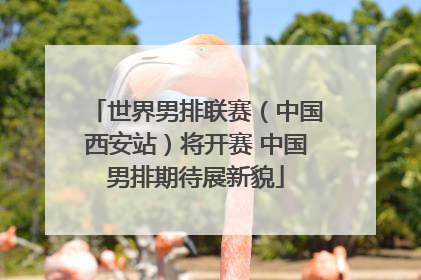 世界男排联赛（中国西安站）将开赛 中国男排期待展新貌