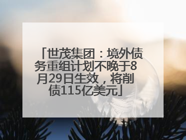 世茂集团：境外债务重组计划不晚于8月29日生效，将削债115亿美元